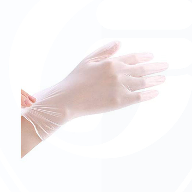 Clear Disposable Vinyl Gloves Powder Free Glove for Kitchen Cooking